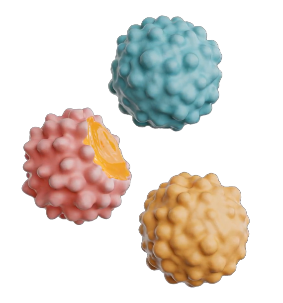 gummy busters - View 2