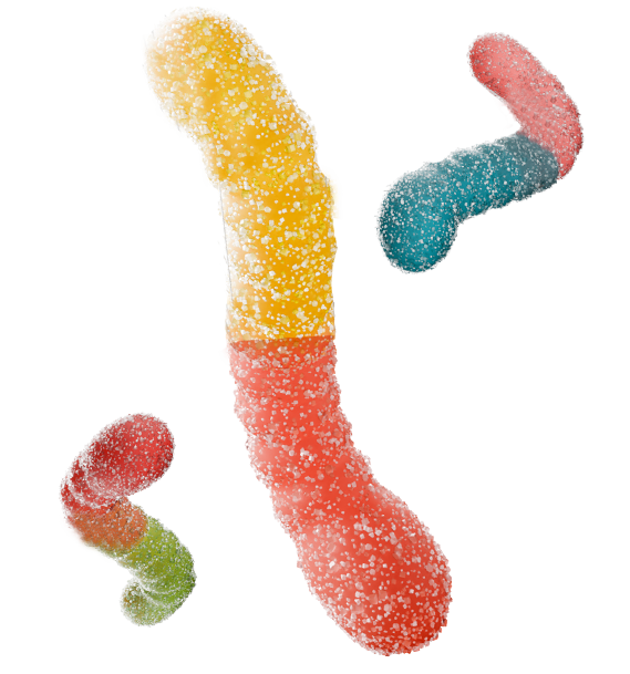 sour worms - View 2