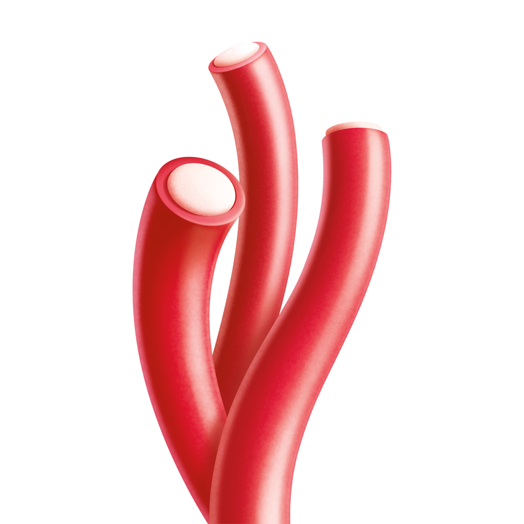 cherry berry ropes - View 2